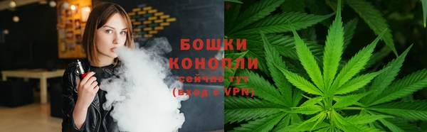 не бодяженный Иннополис