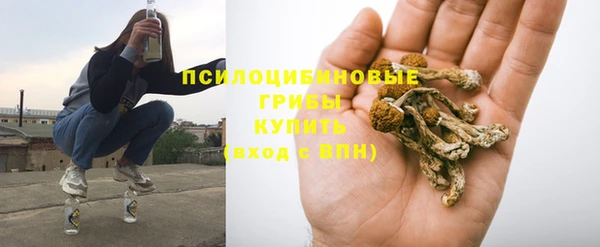не бодяженный Иннополис