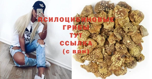 MDMA Инсар