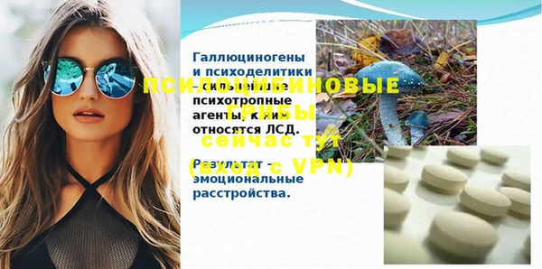 а пвп мука Инта
