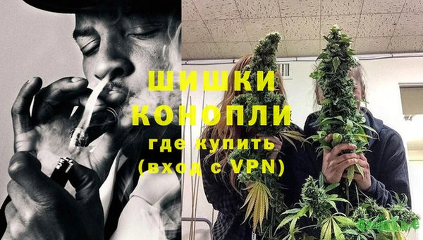 не бодяженный Иннополис