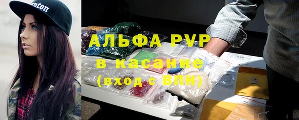 не бодяженный Иннополис