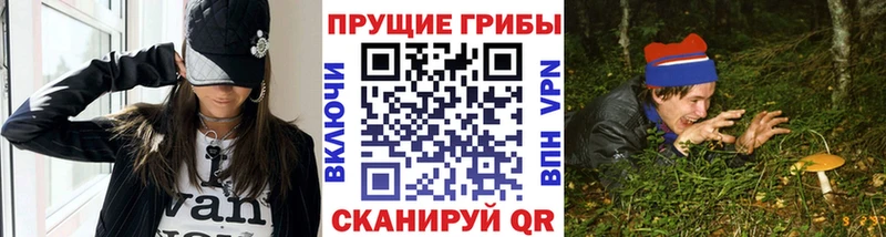 Галлюциногенные грибы Magic Shrooms  Купить где  Хасавюрт 