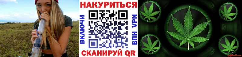 Конопля планчик  Купить где  Хасавюрт 